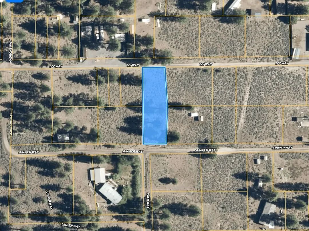 Decorative background for 0.27 Acres Near Eagle Lake – Build or Camp in Susanville, CA image 9