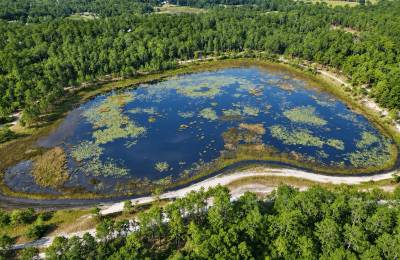 Lakefront Living on 0.45 Acre in Ocklawaha, FL!