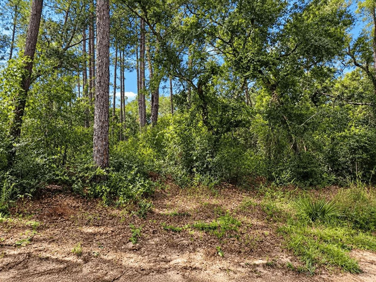 Lakefront Living on 0.45 Acre in Ocklawaha, FL! - Image 3