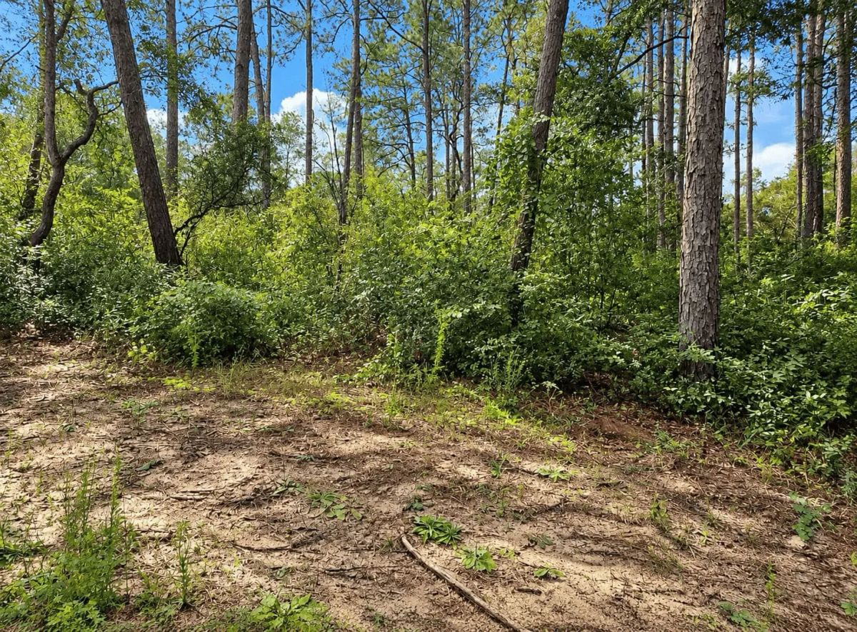 Lakefront Living on 0.45 Acre in Ocklawaha, FL! - Image 4
