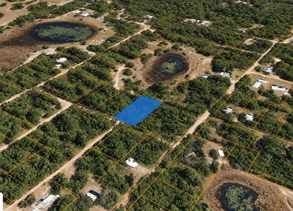 Decorative background for Lakefront Living on 0.45 Acre in Ocklawaha, FL! image 9