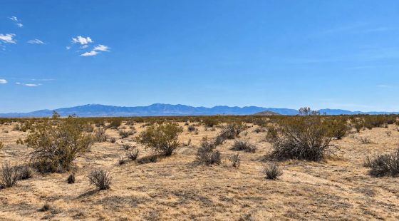 10.37 Acres in Hi Vista, CA – Residential & Agricultural Land Near Lake Los Angeles in Los Angeles County, CA