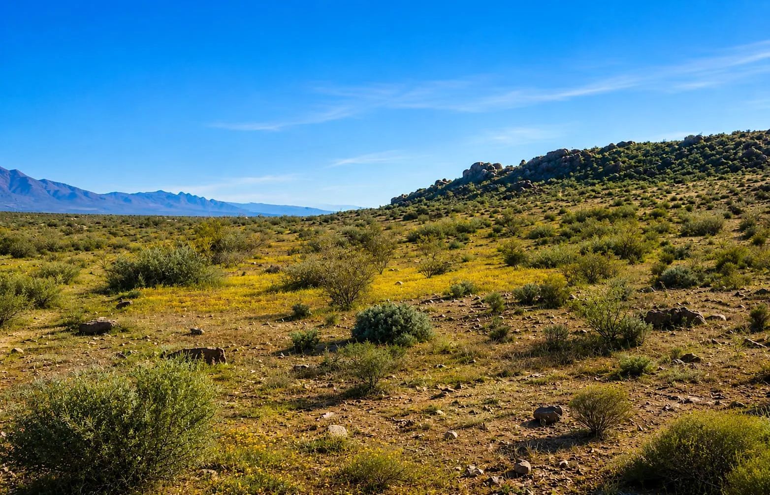 5.18 Acres in Hi Vista, CA – Mountain Terrain with Room to Create in Los Angeles County, CA