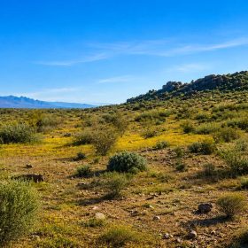 5.18 Acres in Hi Vista, CA – Mountain Terrain with Room to Create in Los Angeles County, CA