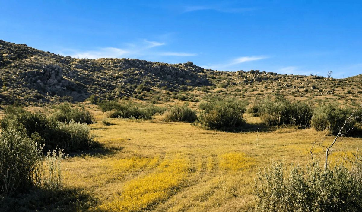 Decorative background for 5.18 Acres in Hi Vista, CA – Mountain Terrain with Room to Create image 9