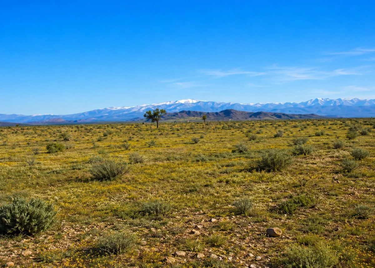 Decorative background for 5.18 Acres in Hi Vista, CA – Mountain Terrain with Room to Create image 12