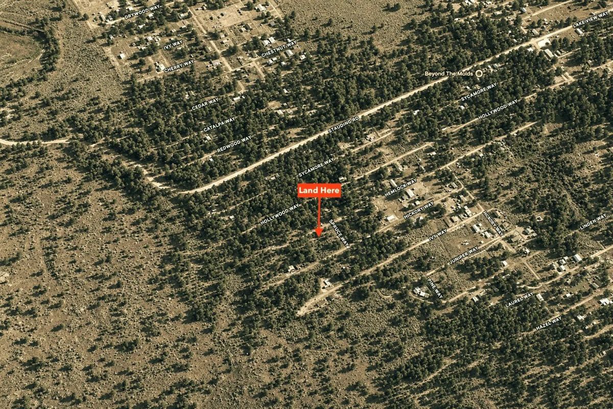 Decorative background for Peaceful 0.28-Acre Homesite near Eagle Lake in Susanville, CA image 15