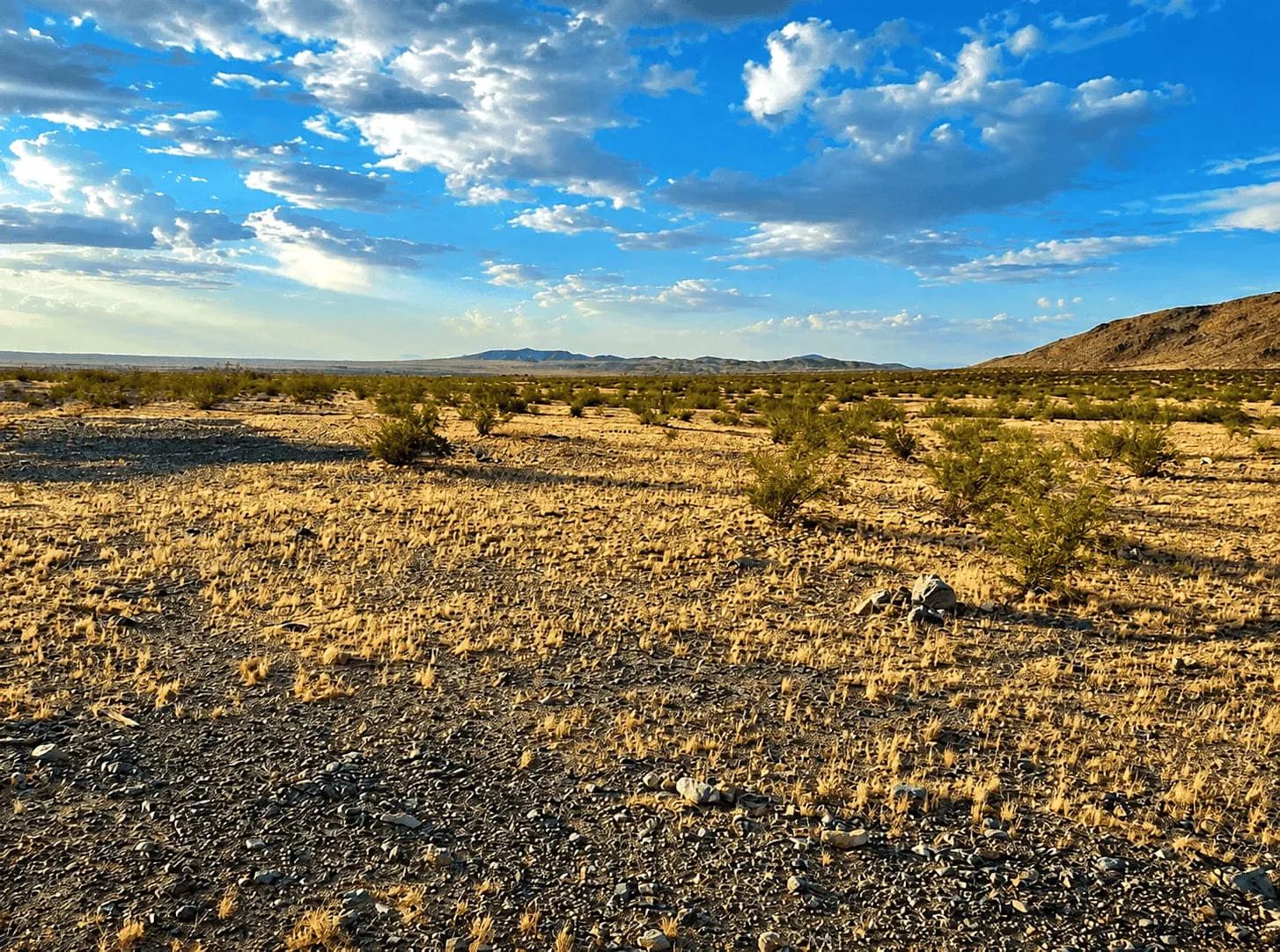 5 Acres in Helendale, CA – Peaceful Desert Living Near Silver Lakes