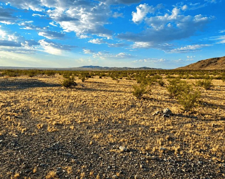 5 Acres in Helendale, CA – Peaceful Desert Living Near Silver Lakes in San Bernardino County, CA