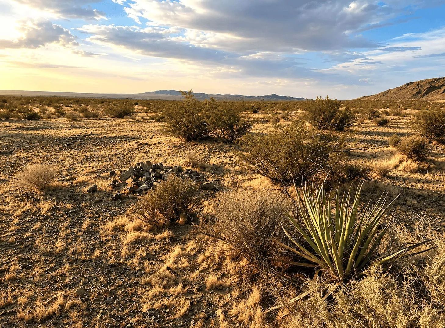 5 Acres in Helendale, CA – Peaceful Desert Living Near Silver Lakes in San Bernardino County, CA