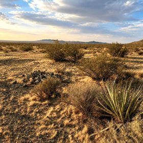 5 Acres in Helendale, CA – Peaceful Desert Living Near Silver Lakes in San Bernardino County, CA