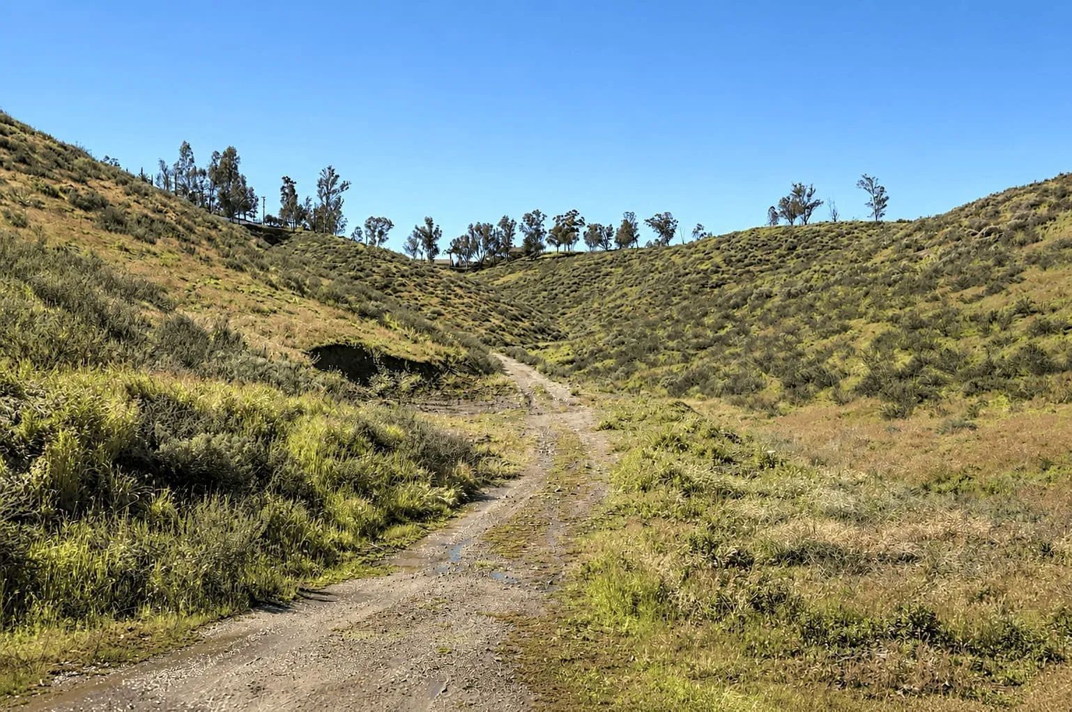 0.15 Acres in Lake Elsinore, CA – Hillside Lot Near Lake &Downtown in Riverside County, CA