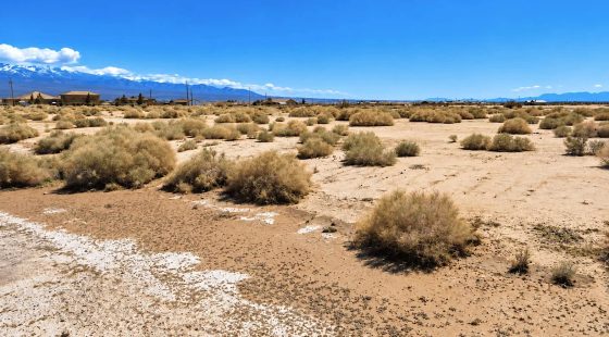 0.23 Acres in North Pahrump, NV – Mountain Views & Easy Highway Access in Nye County, NV