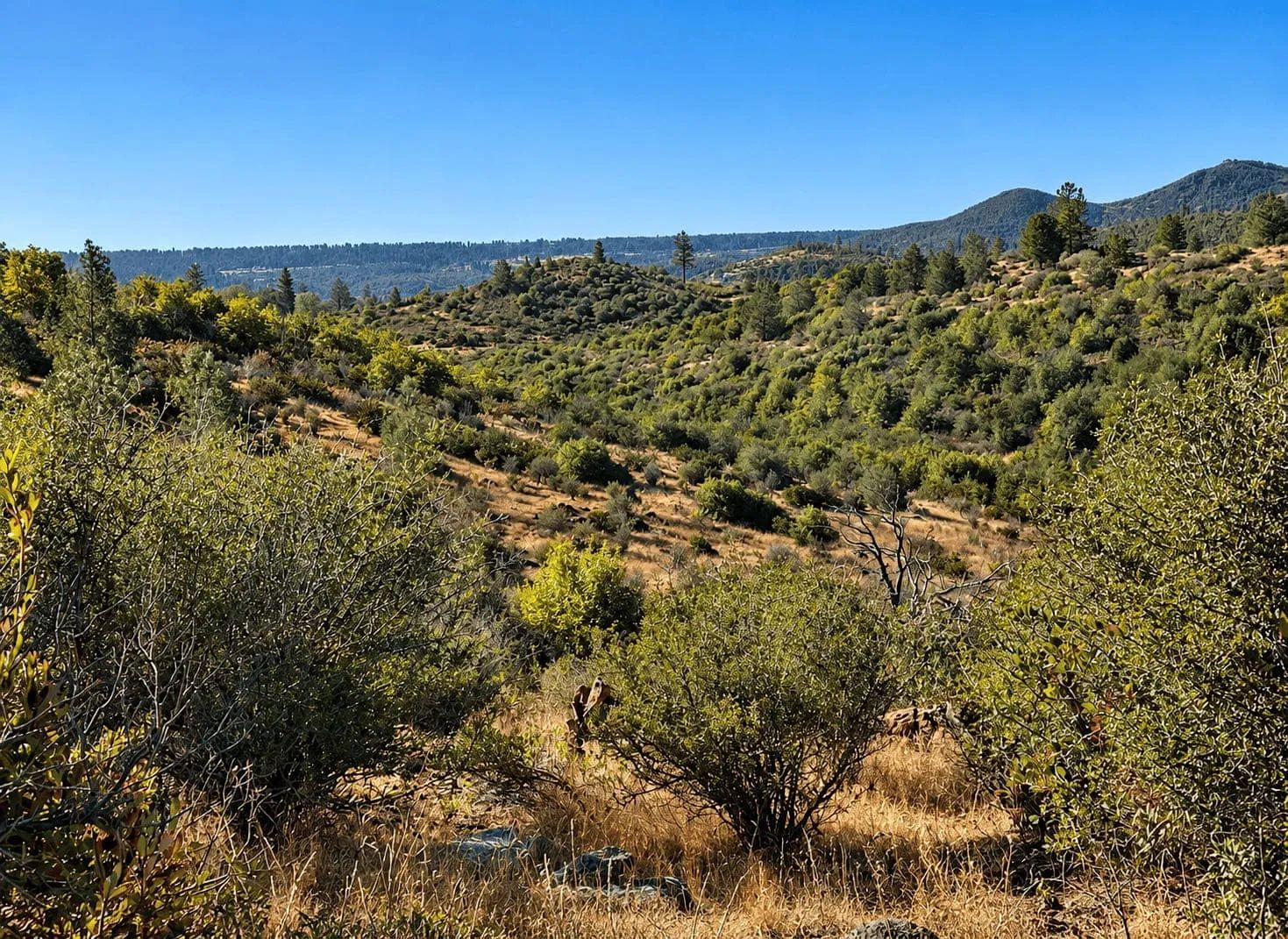 19 Acres in Oroville, CA – Foothill Privacy, Views & Hwy 70 Access