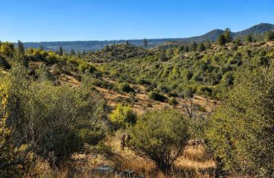 19 Acres in Oroville, CA – Foothill Privacy, Views & Hwy 70 Access