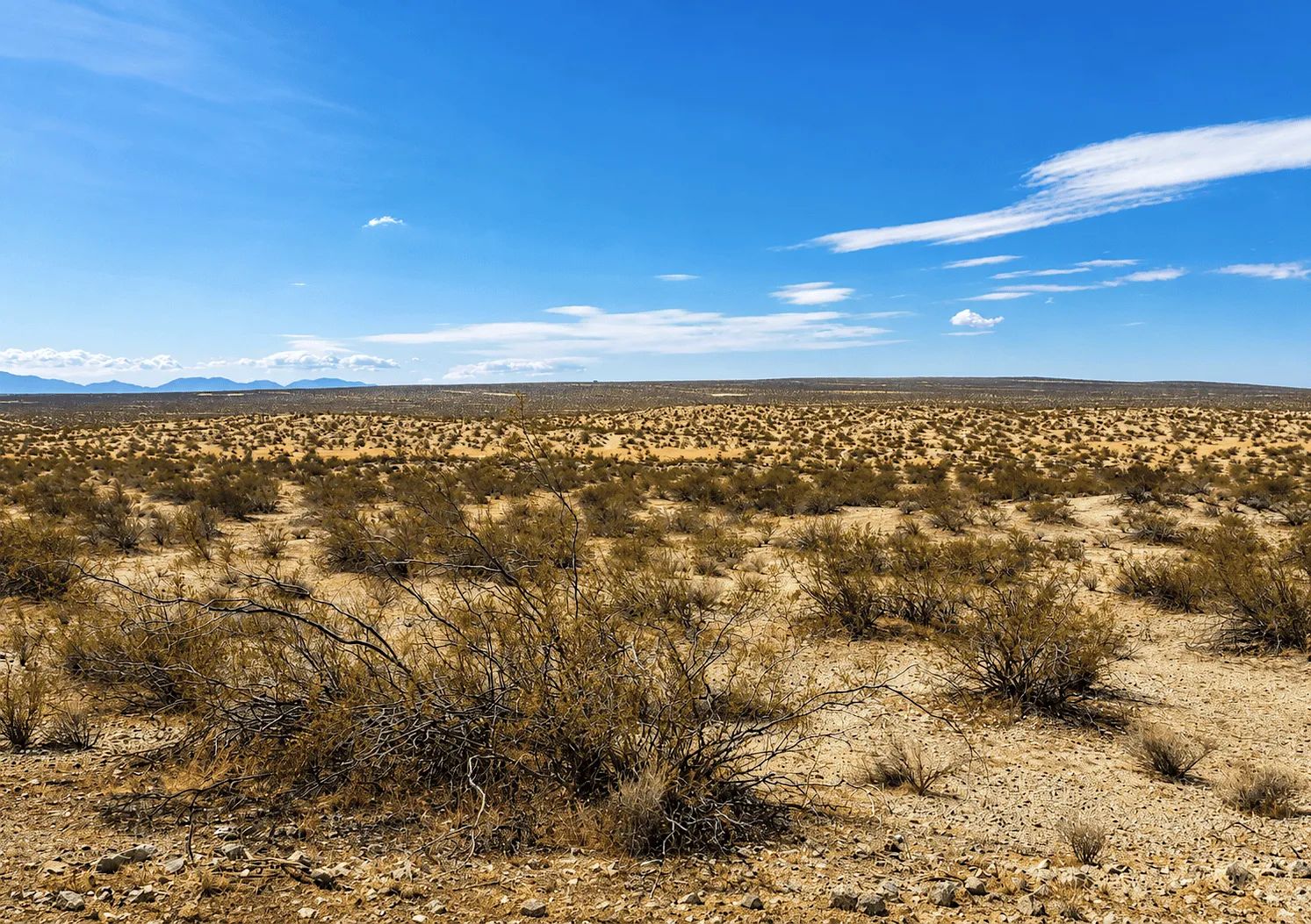 2.63 Acres in Hi Vista, CA – Open Space Near Phacelia Wildlife Sanctuary