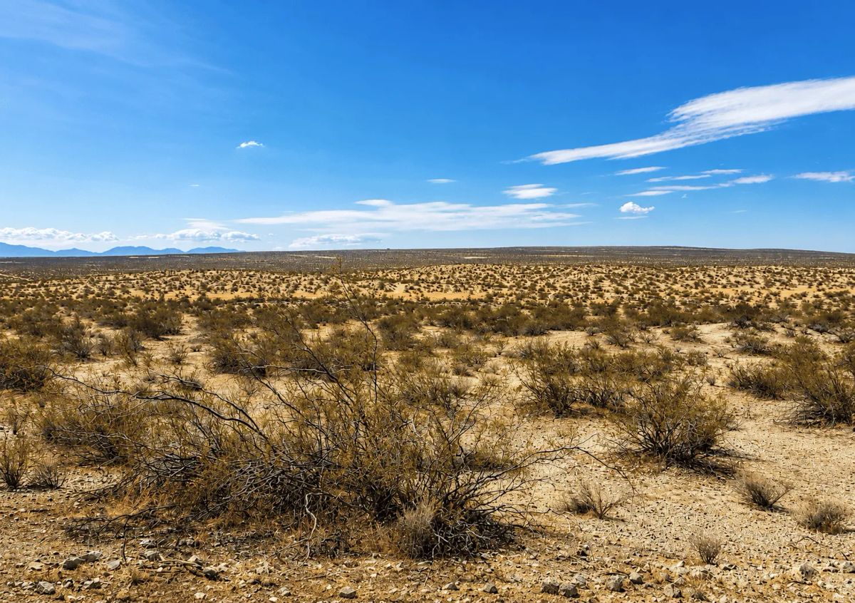 2.63 Acres in Hi Vista, CA – Open Space Near Phacelia Wildlife Sanctuary - Main image