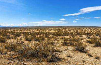 2.63 Acres in Hi Vista, CA – Open Space Near Phacelia Wildlife Sanctuary