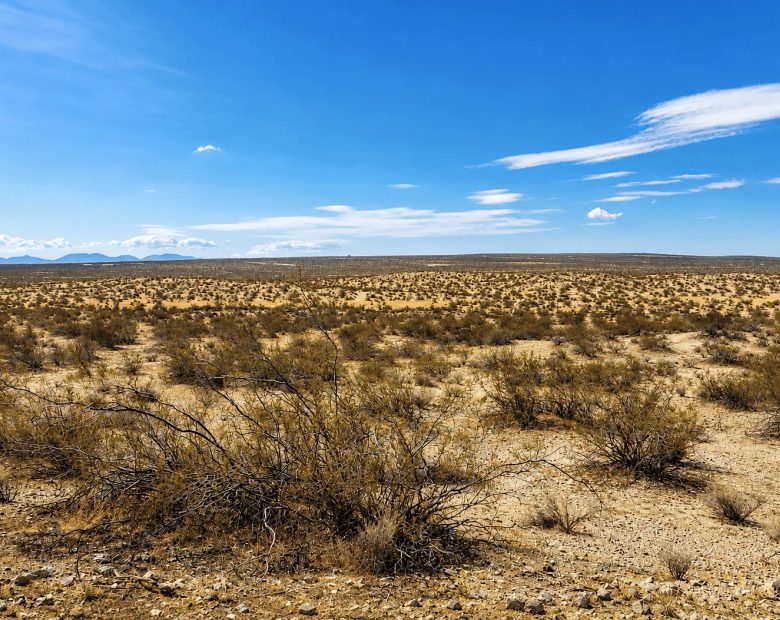 2.63 Acres in Hi Vista, CA – Open Space Near Phacelia Wildlife Sanctuary in Los Angeles County, CA
