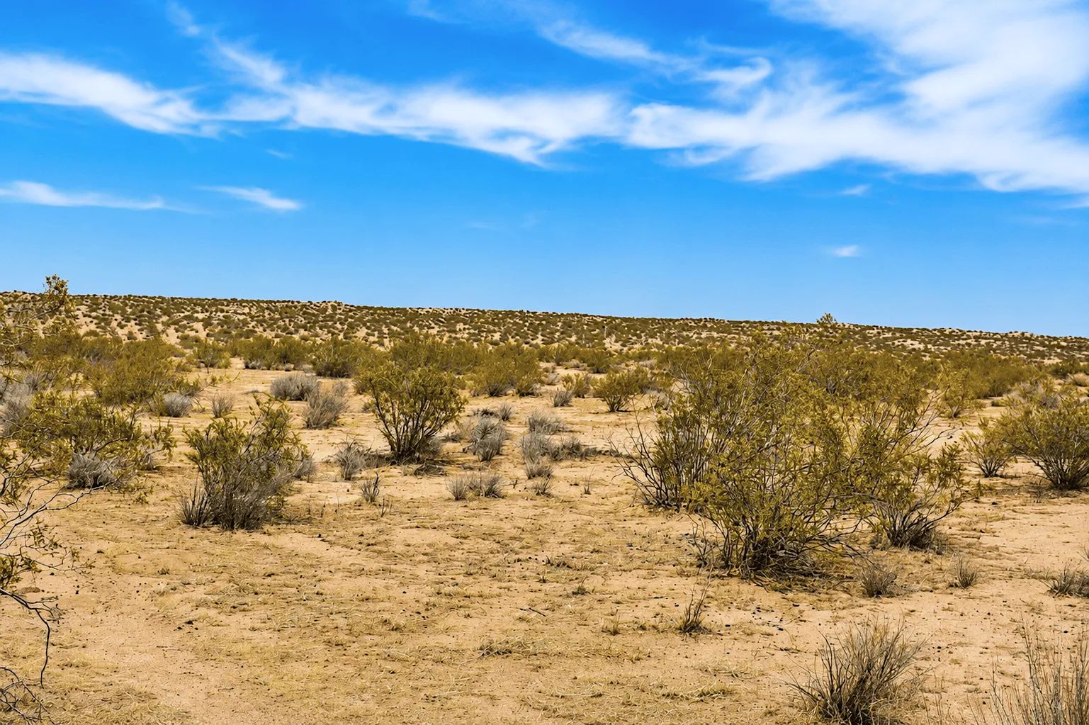 2.63 Acres in Hi Vista, CA – Open Space Near Phacelia Wildlife Sanctuary in Los Angeles County, CA