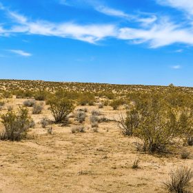 2.63 Acres in Hi Vista, CA – Open Space Near Phacelia Wildlife Sanctuary in Los Angeles County, CA