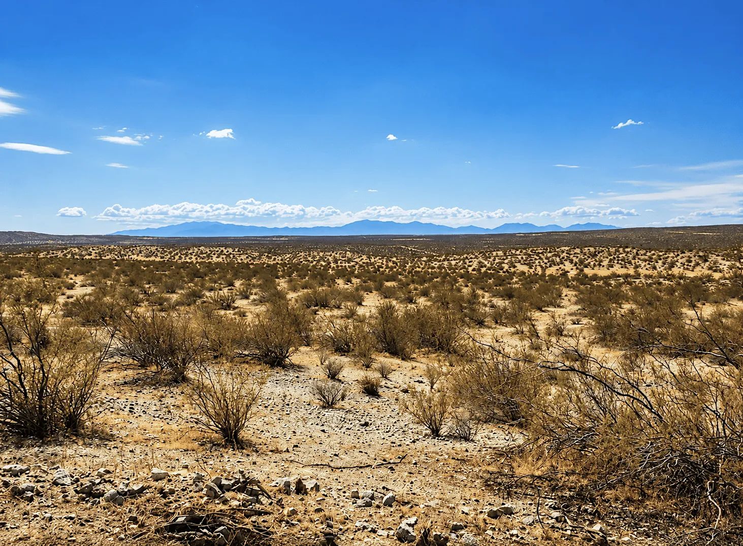 2.63 Acres in Hi Vista, CA – Open Space Near Phacelia Wildlife Sanctuary in Los Angeles County, CA