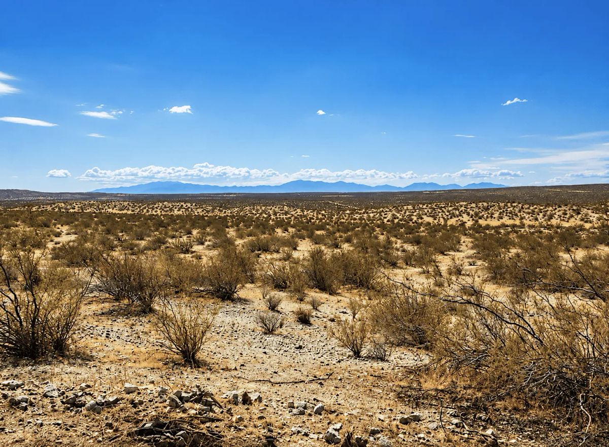 2.63 Acres in Hi Vista, CA – Open Space Near Phacelia Wildlife Sanctuary - Image 4