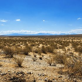 2.63 Acres in Hi Vista, CA – Open Space Near Phacelia Wildlife Sanctuary in Los Angeles County, CA