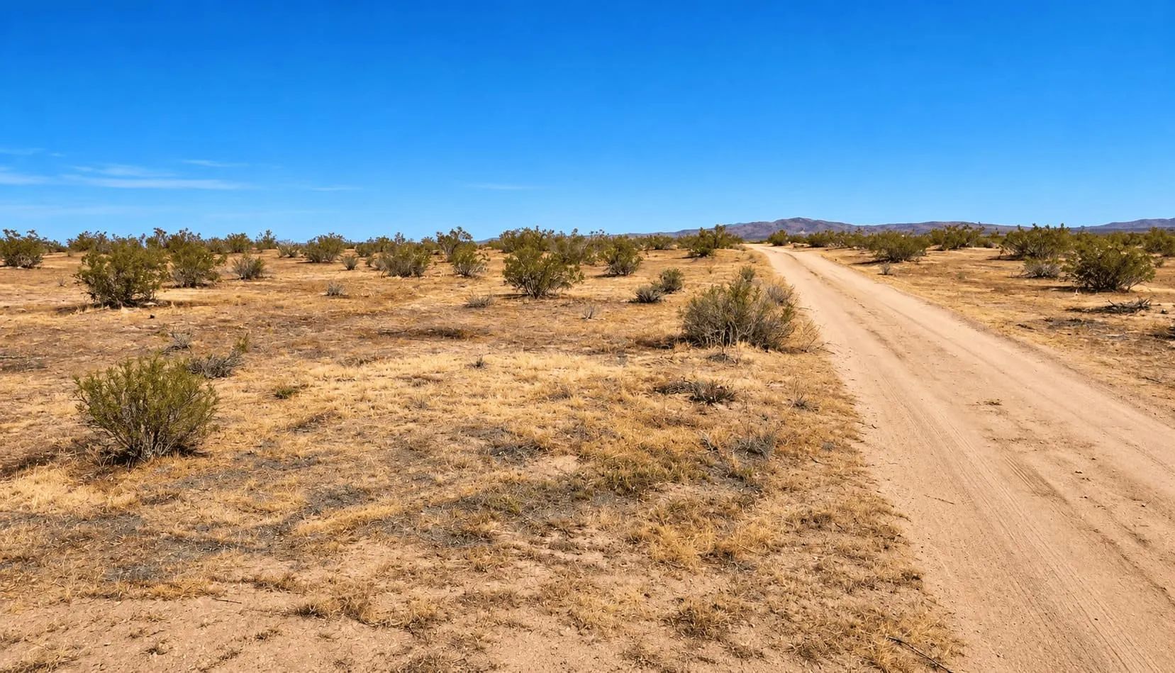 41.52 Acres in Hi Vista, CA – Agricultural Ranch Land Near Lake Los Angeles in Los Angeles County, CA