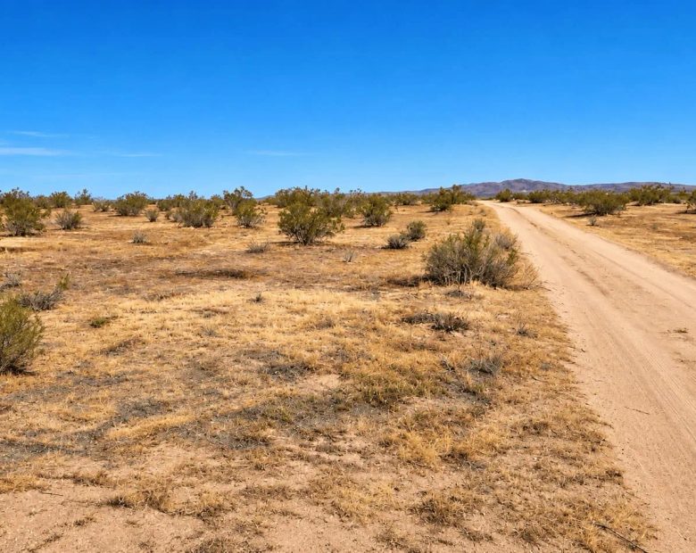 41.52 Acres in Hi Vista, CA – Agricultural Ranch Land Near Lake Los Angeles in Los Angeles County, CA