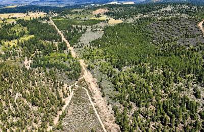 127.5 Acres in Weed, CA – Timber Land with Amazing Mount Shasta Views