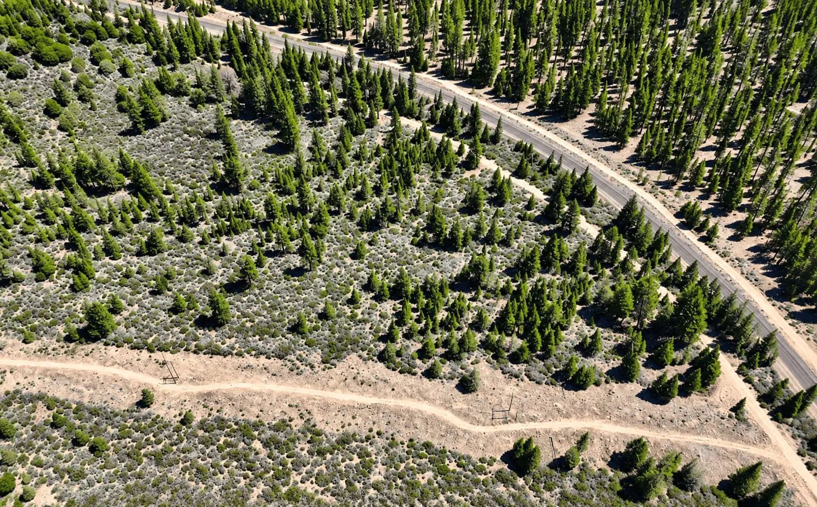 127.5 Acres in Weed, CA – Timber Land with Amazing Mount Shasta Views in Siskiyou County, CA