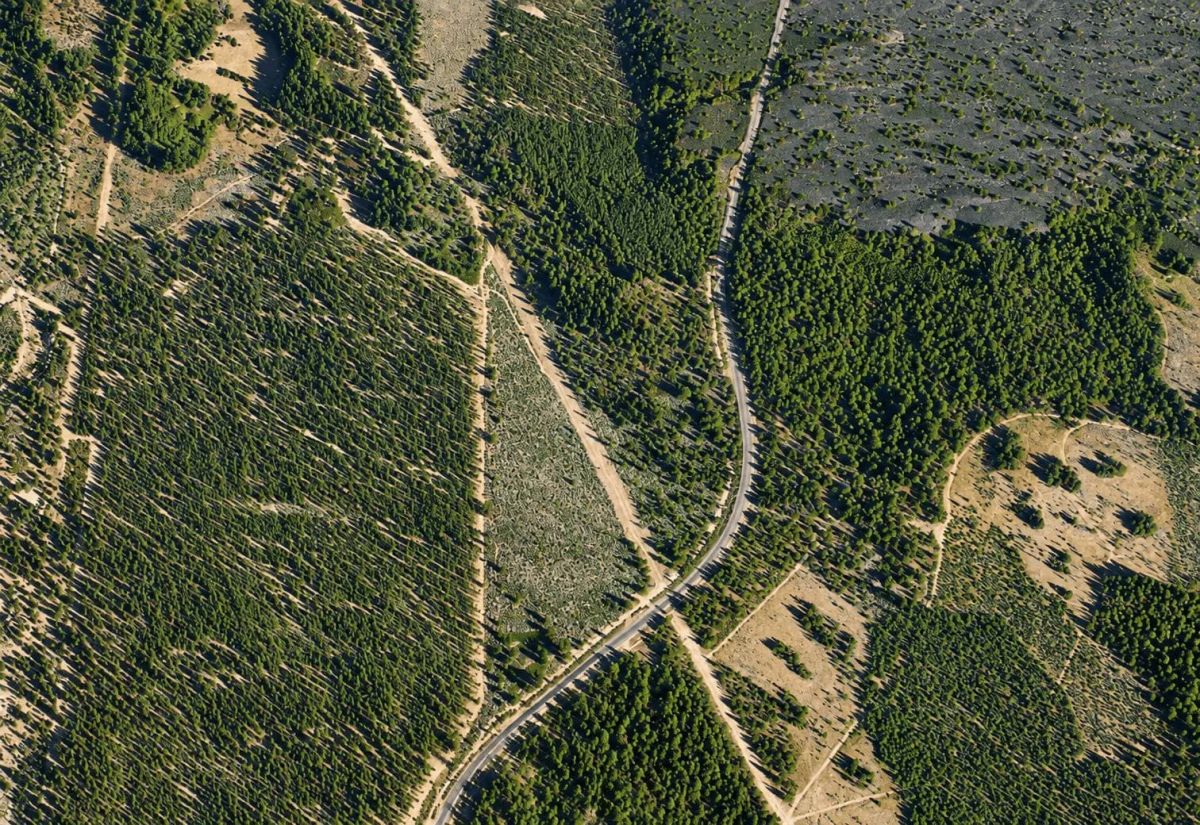 Decorative background for 127.5 Acres in Weed, CA – Timber Land with Amazing Mount Shasta Views image 7
