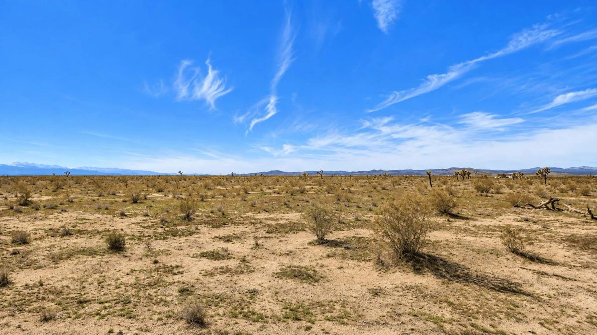 4.34 Acres Near Highway 395 & SCLA – Development Potential in Adelanto, CA - Image 2