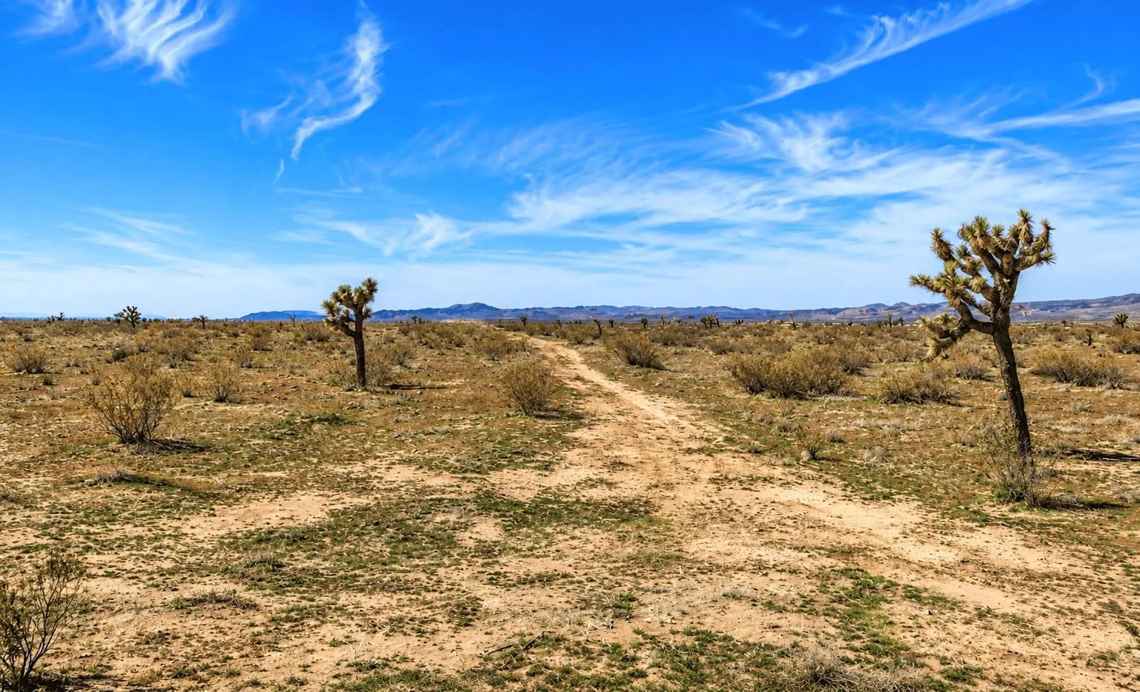 4.34 Acres Near Highway 395 & SCLA – Development Potential in Adelanto, CA in San Bernardino County, CA