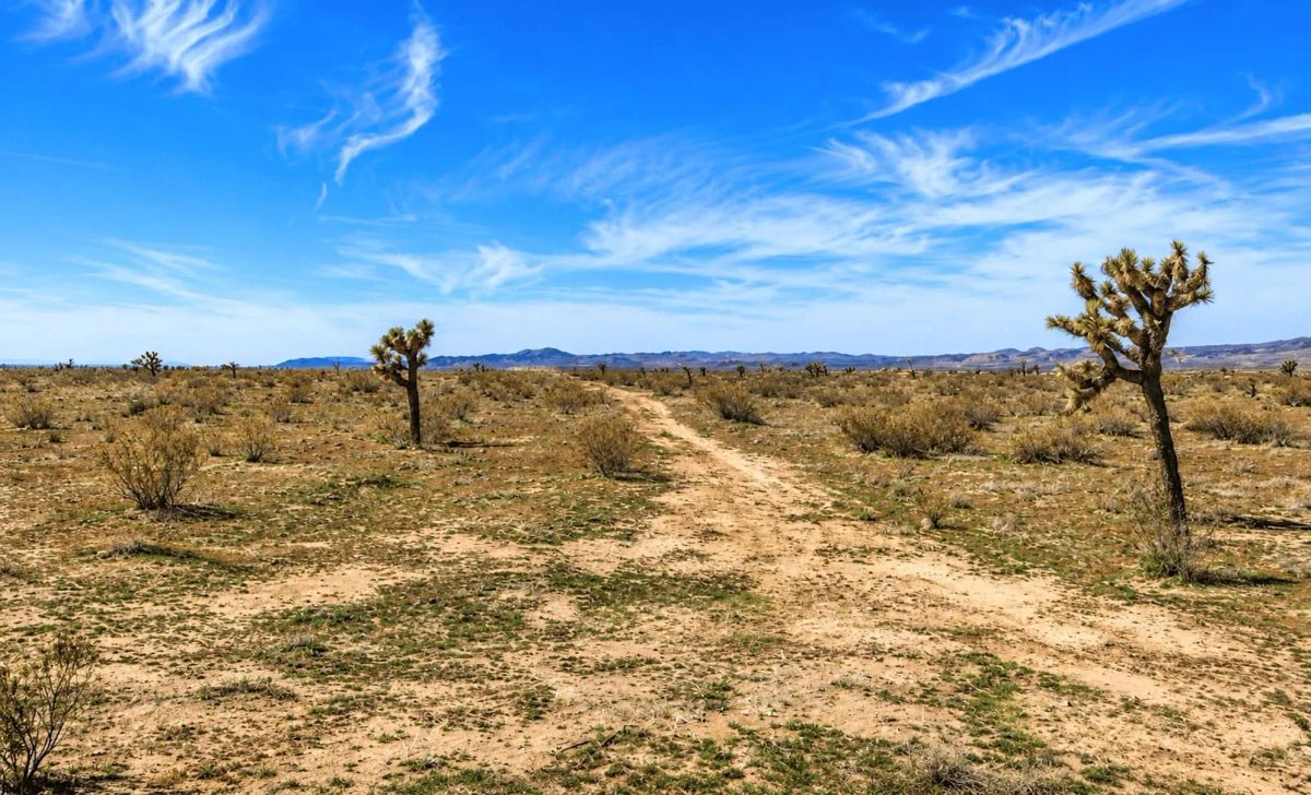 4.34 Acres Near Highway 395 & SCLA – Development Potential in Adelanto, CA - Image 3