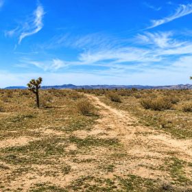 4.34 Acres Near Highway 395 & SCLA – Development Potential in Adelanto, CA in San Bernardino County, CA