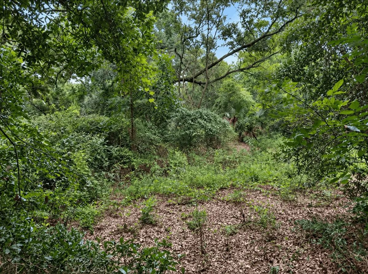 0.18 Acre in Ocklawaha, FL – High & Dry Lot Near Lake Mary - Main image