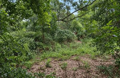 0.18 Acre in Ocklawaha, FL – High & Dry Lot Near Lake Mary