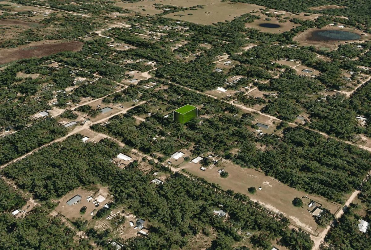 Decorative background for 0.18 Acre in Ocklawaha, FL – High & Dry Lot Near Lake Mary image 7