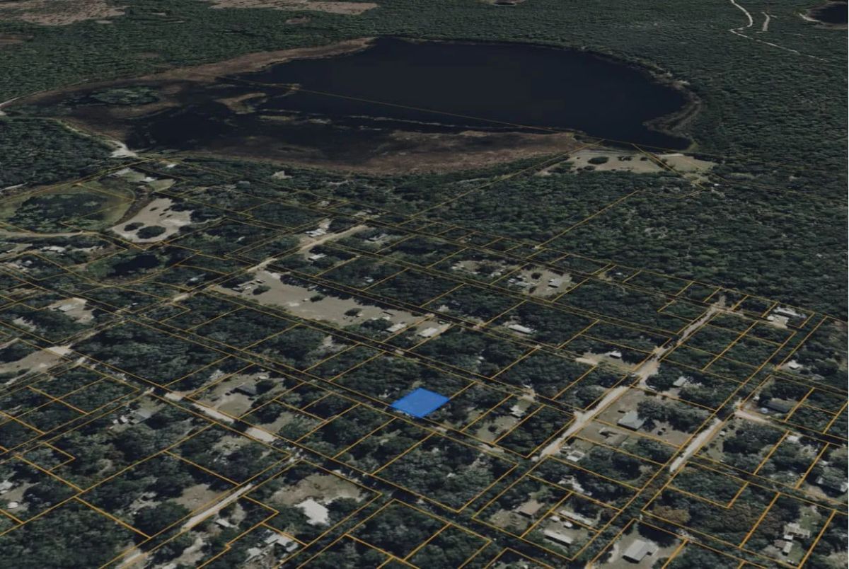 Decorative background for 0.18 Acre in Ocklawaha, FL – High & Dry Lot Near Lake Mary image 10