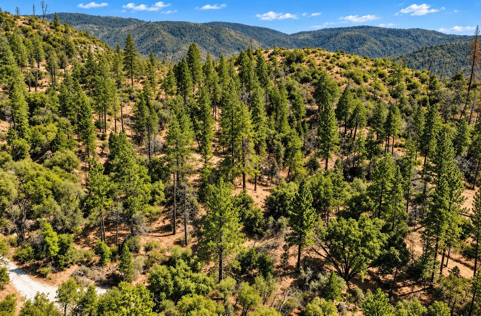 59.34 Acres Near Lake Oroville, CA – Panoramic Lake Views & Privacy in Butte County, CA
