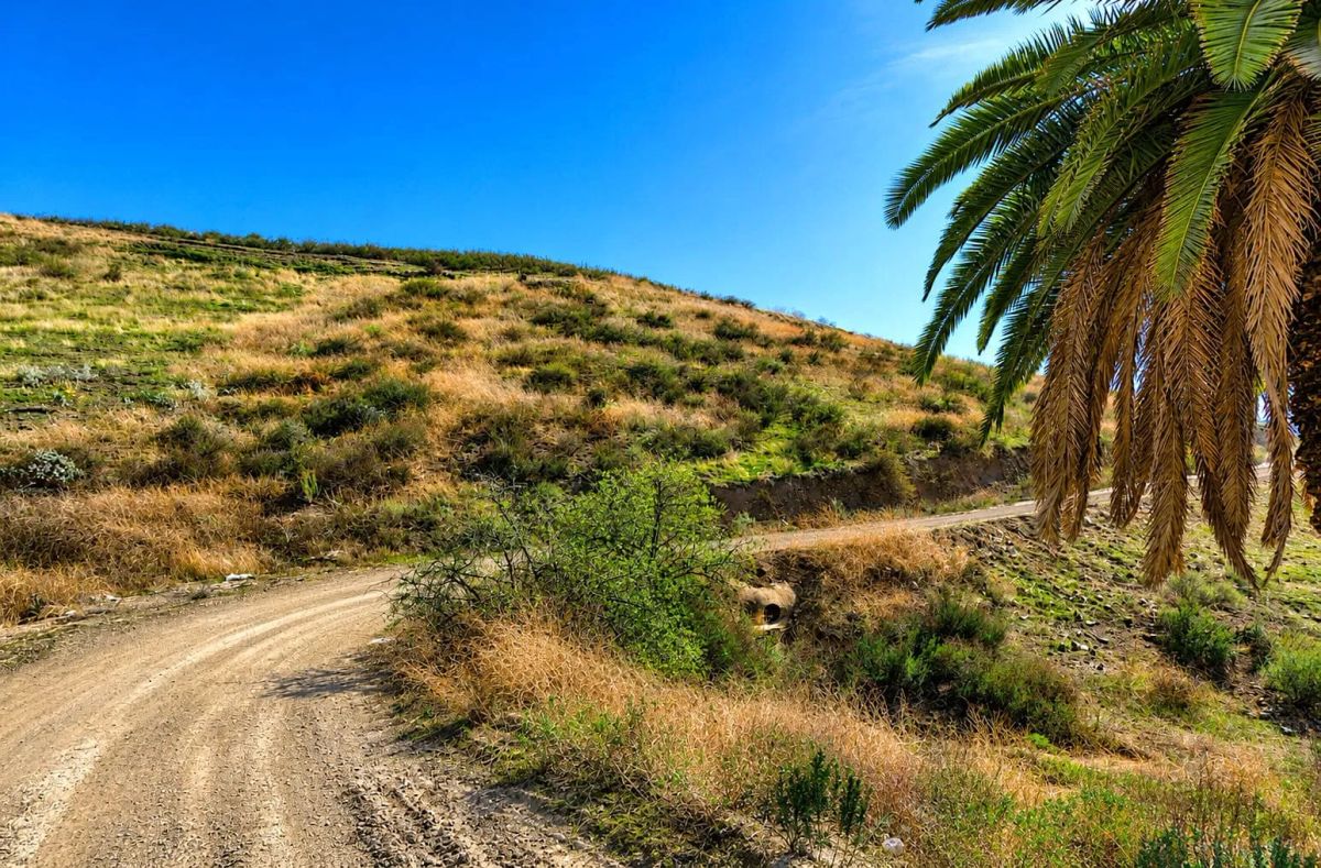 Decorative background for Double the Opportunity – Two Adjoining Lake View Lotsin Lake Elsinore, CA image 6
