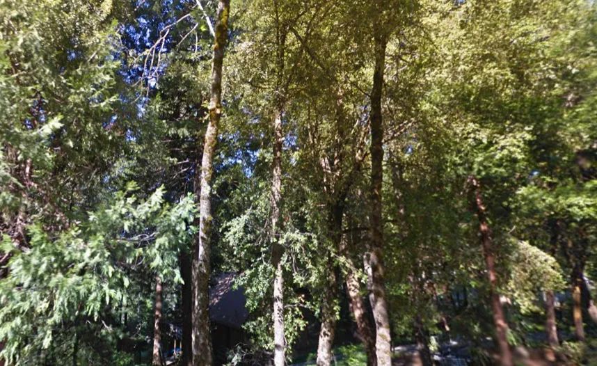 Decorative background for Discover 1.90 acres at 13305 Summit Ridge Drive, Nevada City, CA 95959 image 12