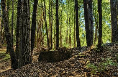 45 Acres in Southern Humboldt, CA – Private Mountain Retreat