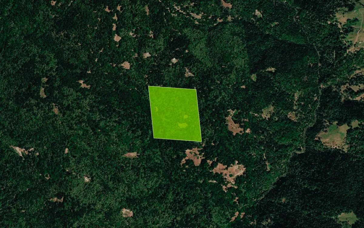 Decorative background for 45 Acres in Southern Humboldt, CA – Private Mountain Retreat image 11