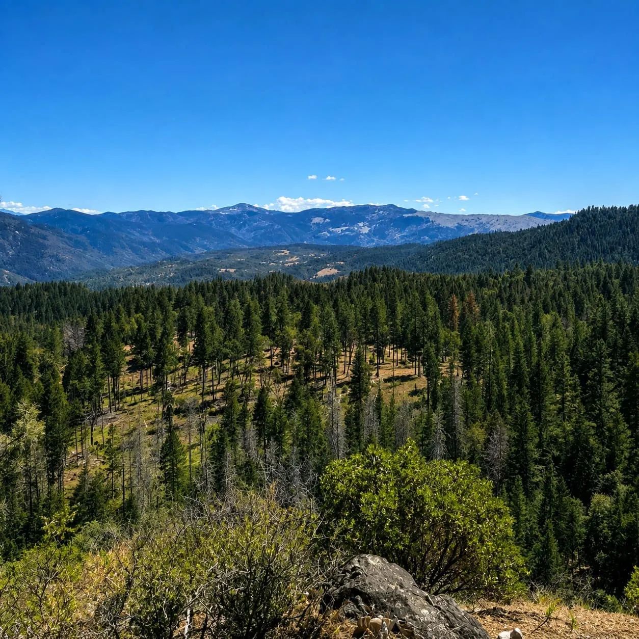 51 Acres of Private Ranch Land in Covelo, CA – Creek, Meadows & Mountain Views