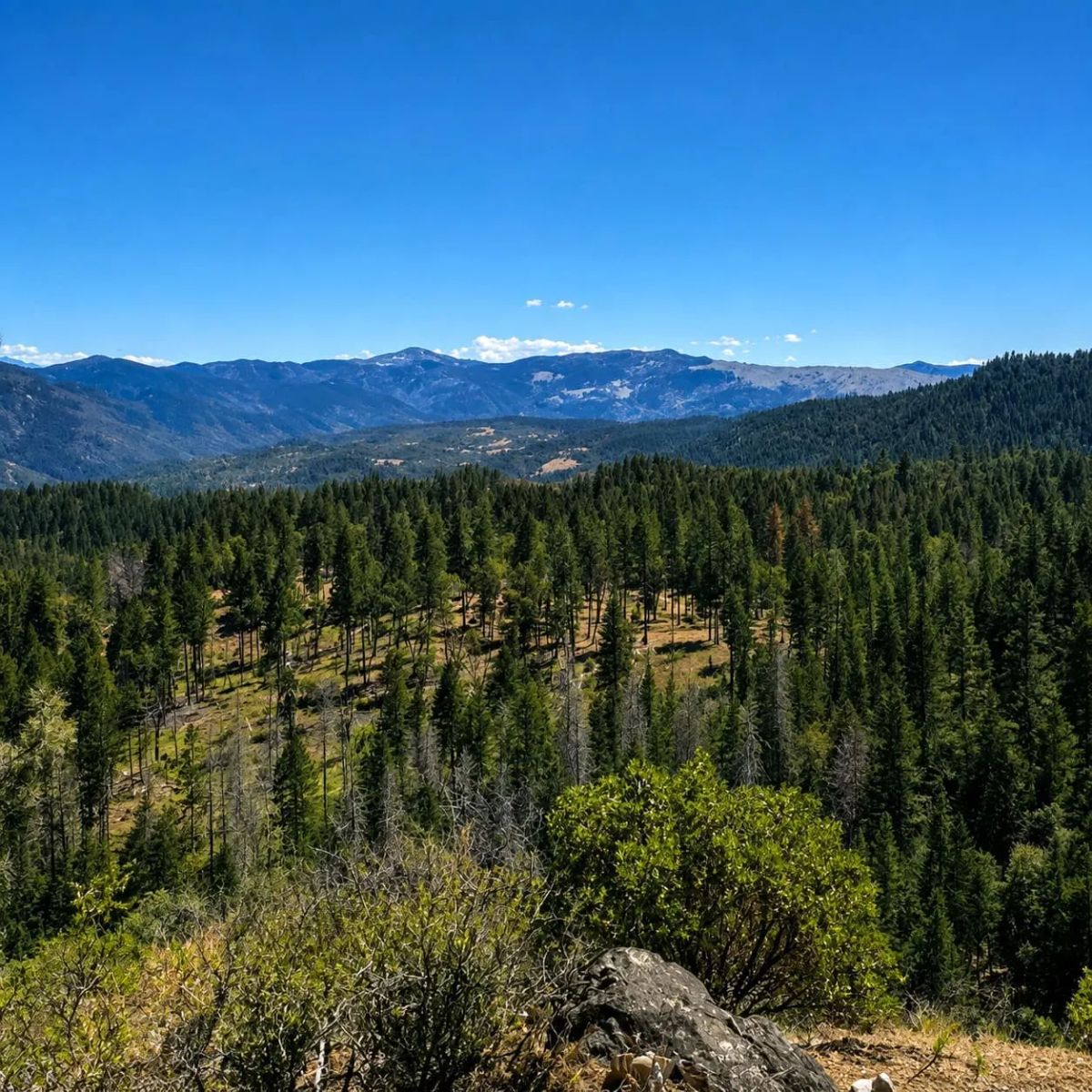 51 Acres of Private Ranch Land in Covelo, CA – Creek, Meadows & Mountain Views - Main image