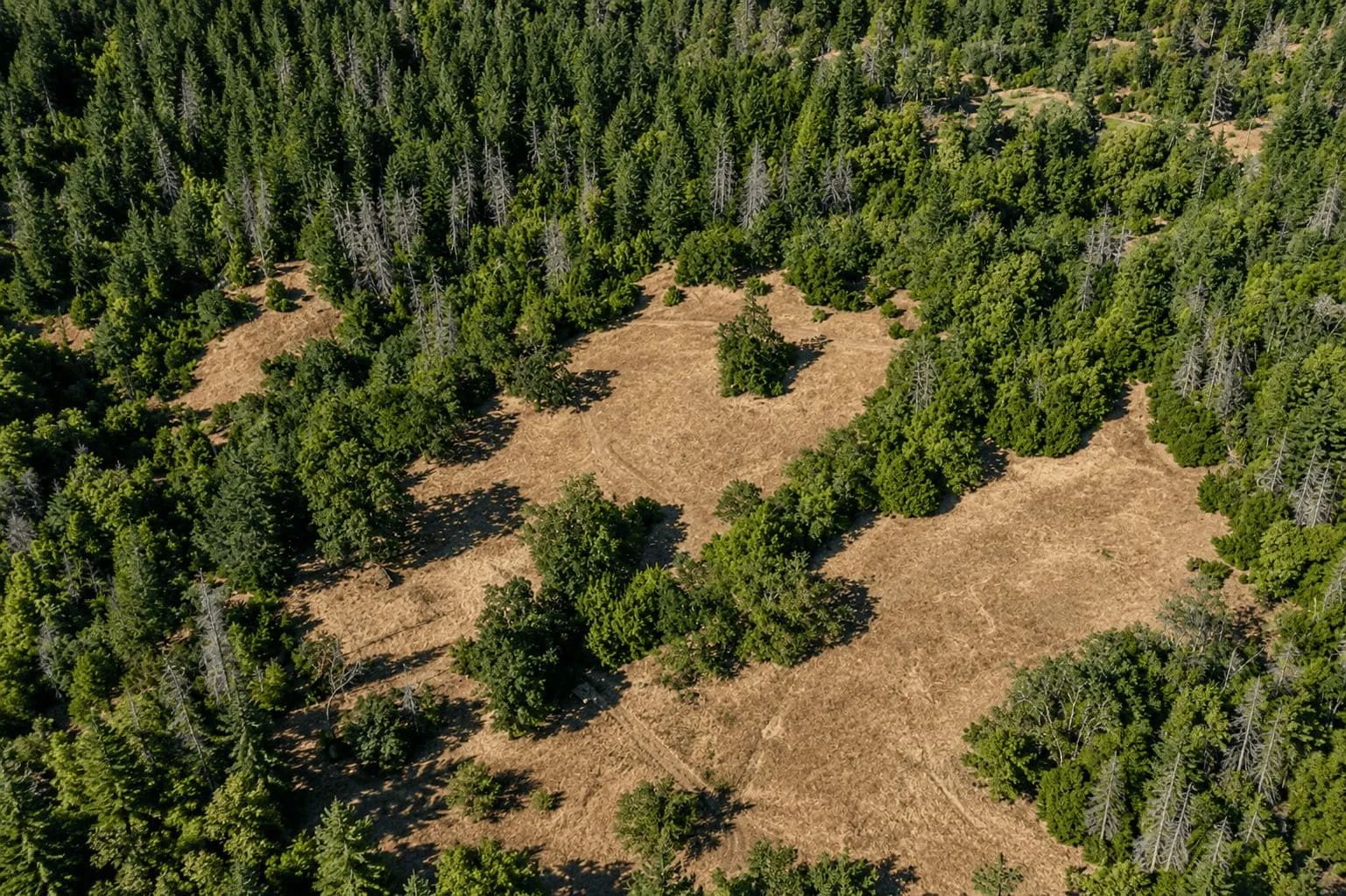 51 Acres of Private Ranch Land in Covelo, CA – Creek, Meadows & Mountain Views in Trinity County, CA